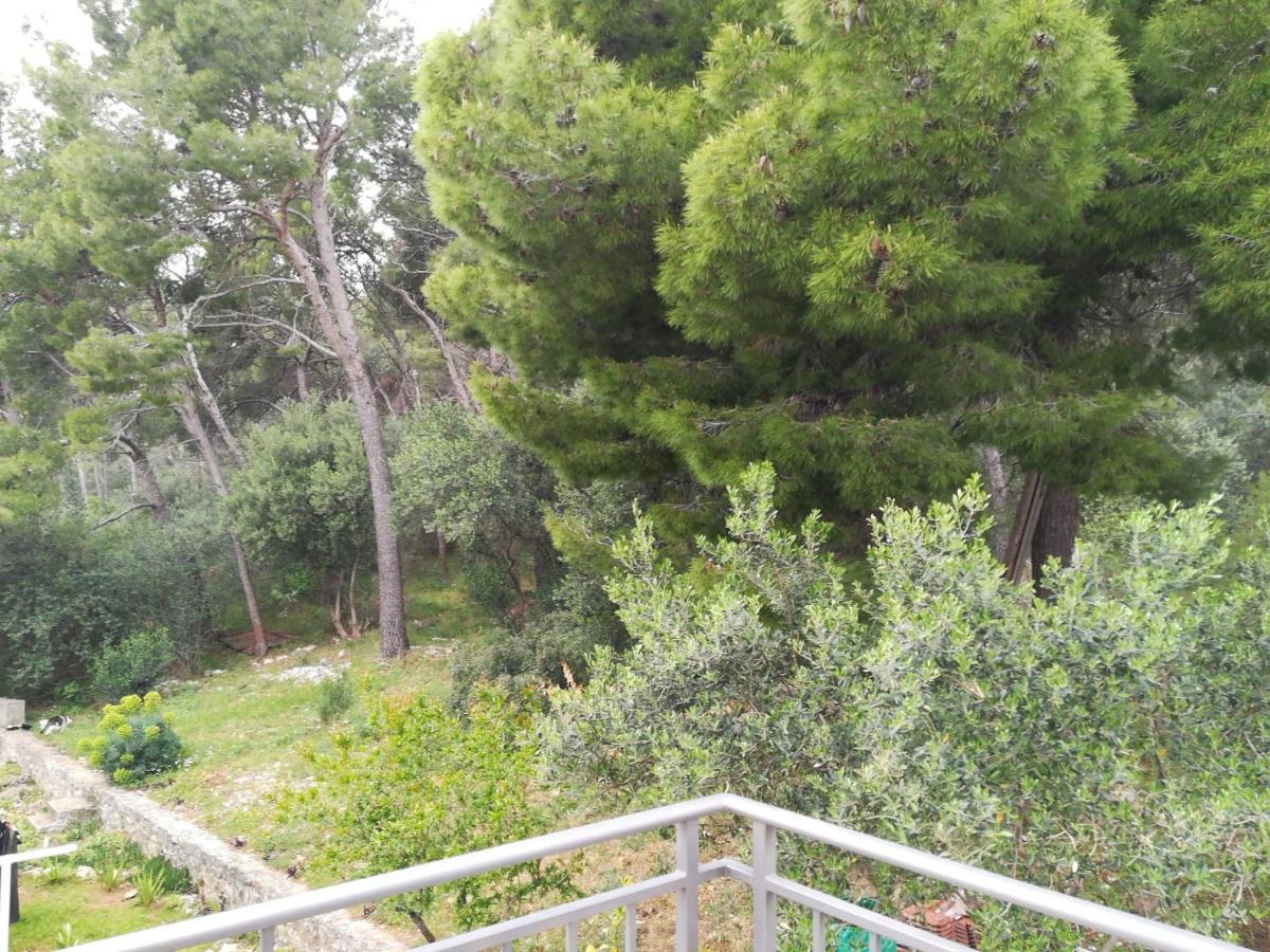 Apartament Domenico - 50 M From The Sea Donji Seget Zewnętrze zdjęcie